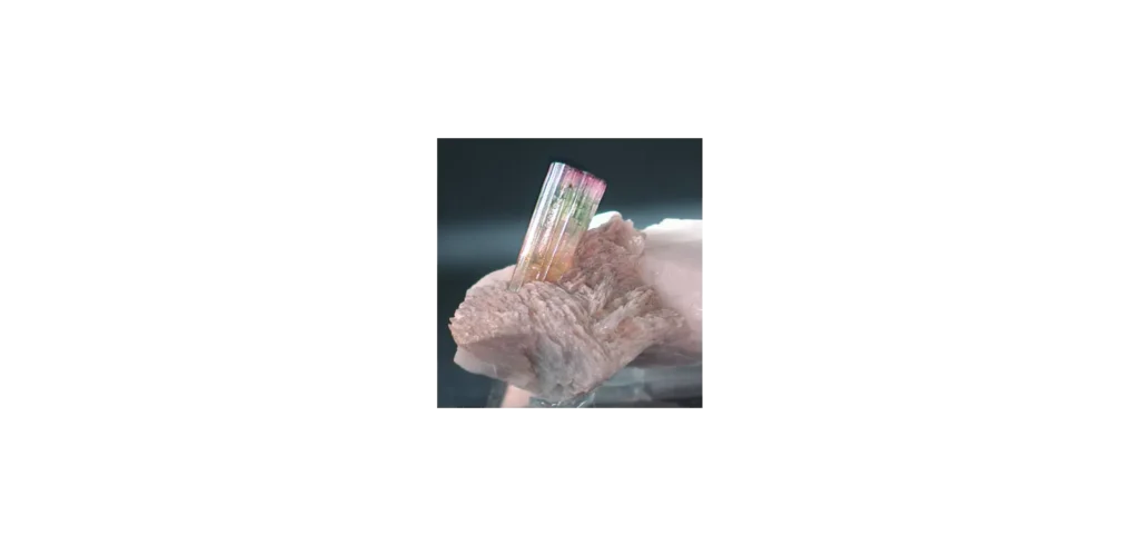 Elbait