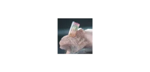 Elbait