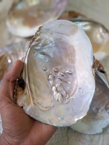Sedef Taşı (Mother of Pearl - Nacre)