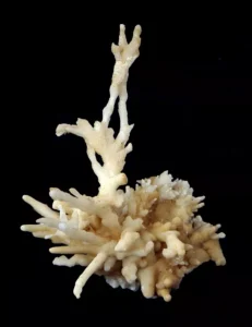 Aragonit Taşı