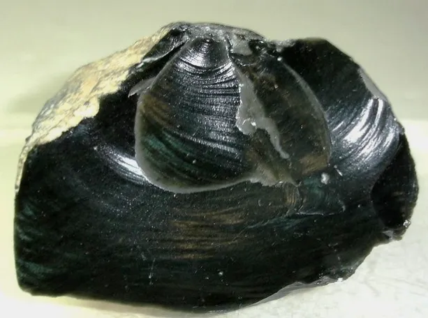 Obsidyen Taşı